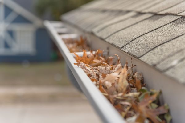 Leaf Barrier Installation in Madison